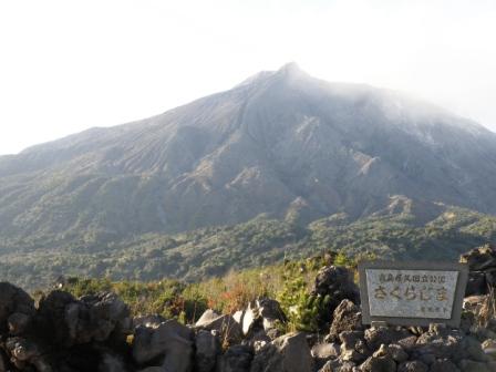 the view of Mt.Sakurajima from the park