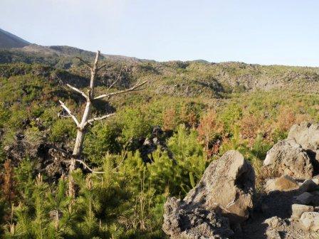 a lava tableland