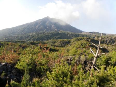 the view of Mt.Sakurajima from the park