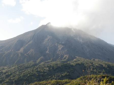 Mt.Sakurajima and the walking path