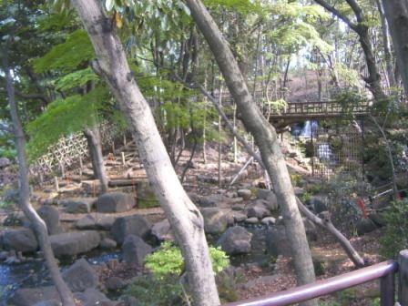 a landscape of TogoshiPark