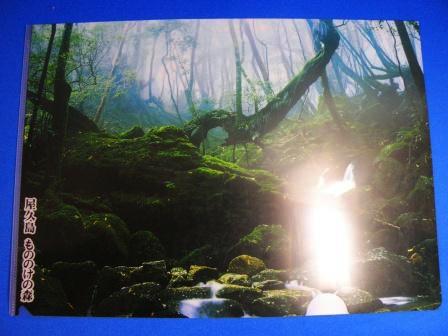 Yakushima island nature clear file folder : The forest of Mononoke