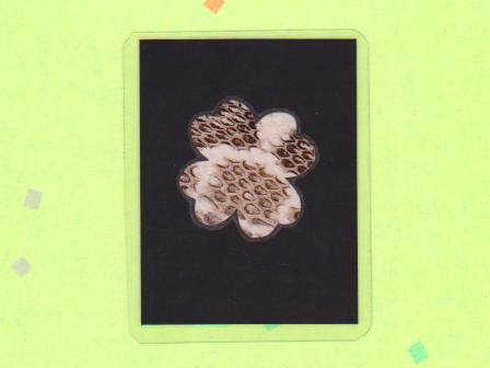 A lucky charm of the skin of the habu made in the Tokunoshima island : White clover