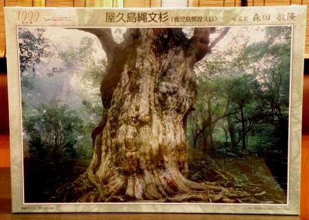 The 1000 pieces jigsaw puzzle : The Jyoumon cedar in the Yakushima island