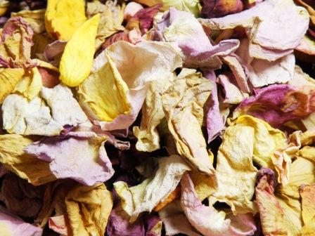 The dried rose petal made from rose of the Kanoya rose garden