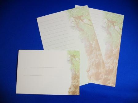 The Ancient Jomon cedar in Yakushima island letter paper