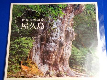 The frame postage stamp : A a world natural heritage Yakushima island