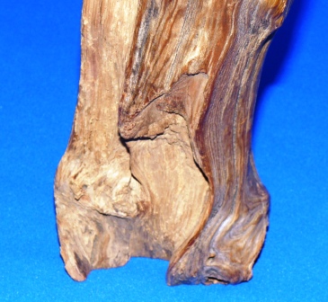 A Yakusugi cedar bud vase